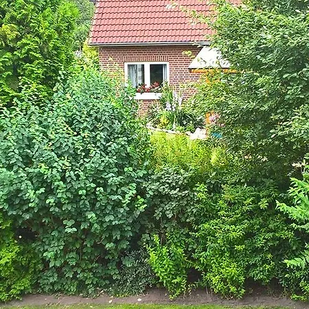 Apartment Fuchskuhle *